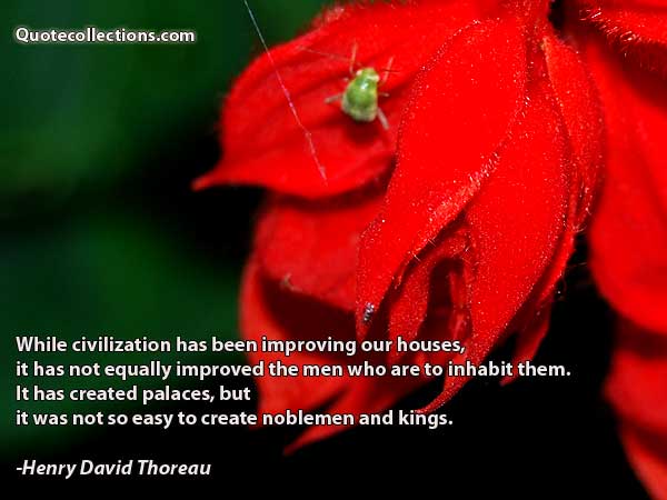 Henry David Thoreau Quotes4